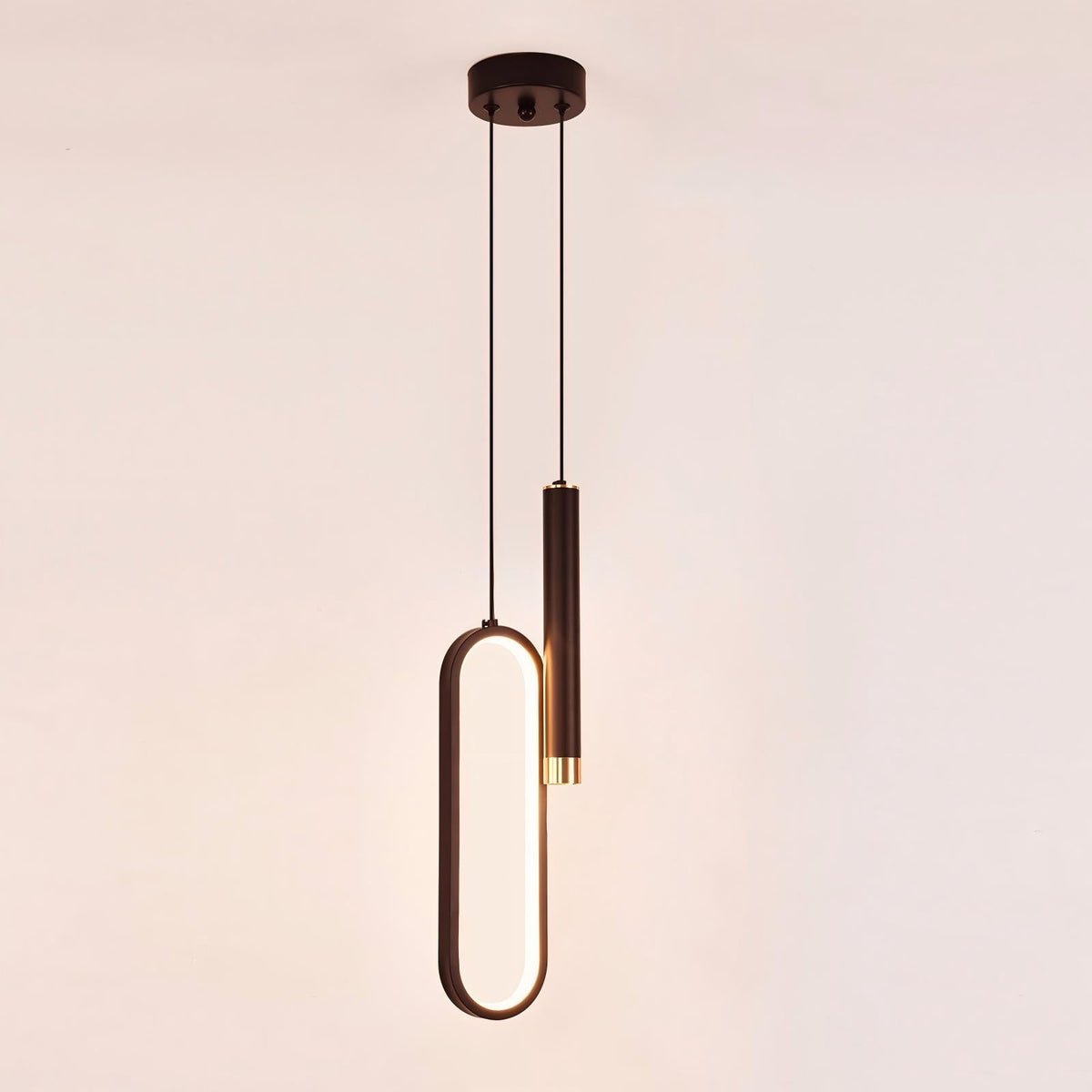 Luminária Pendente Oval Moderna LED 20W