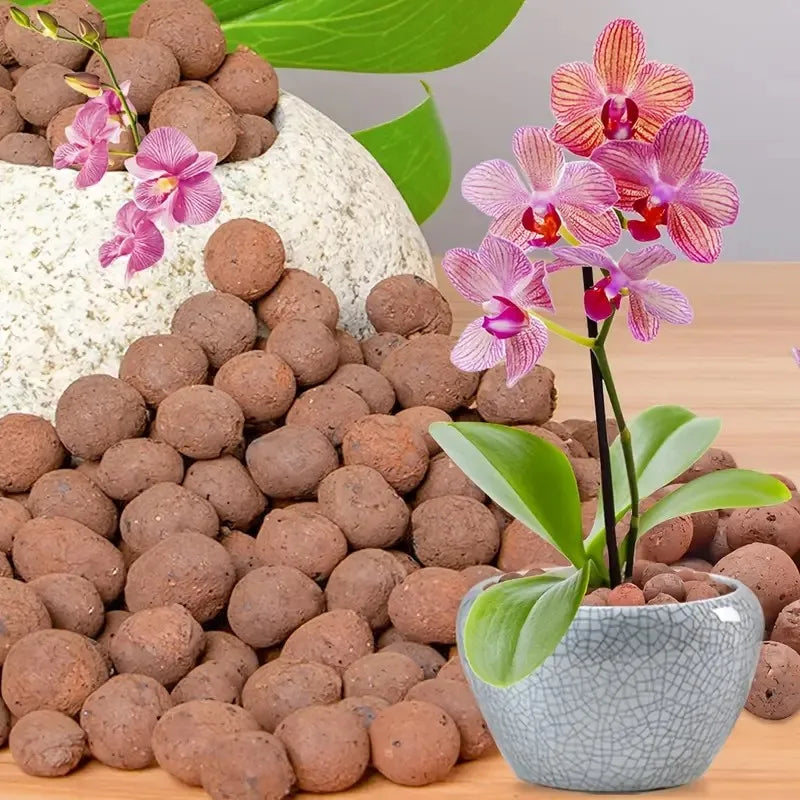 Pelotas de Argila Hidropônicas para Decoração e Jardinagem