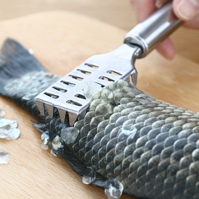Removedores de Escamas de Peixe em Aço Inoxidável